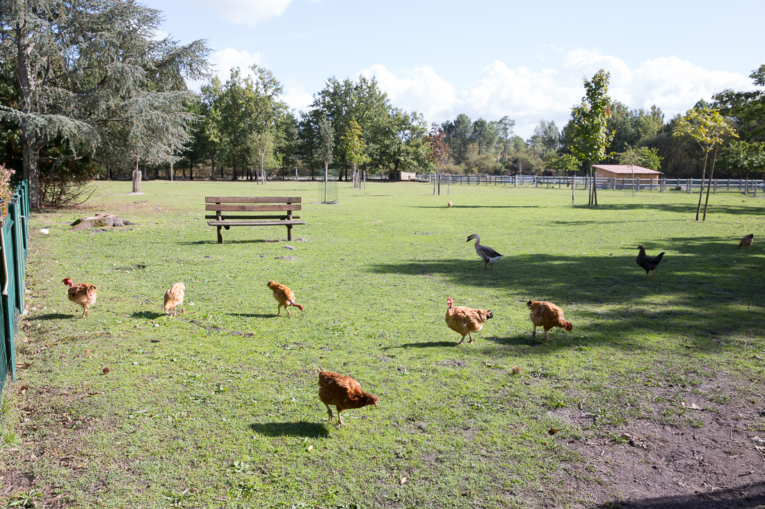 La ferme de découverte