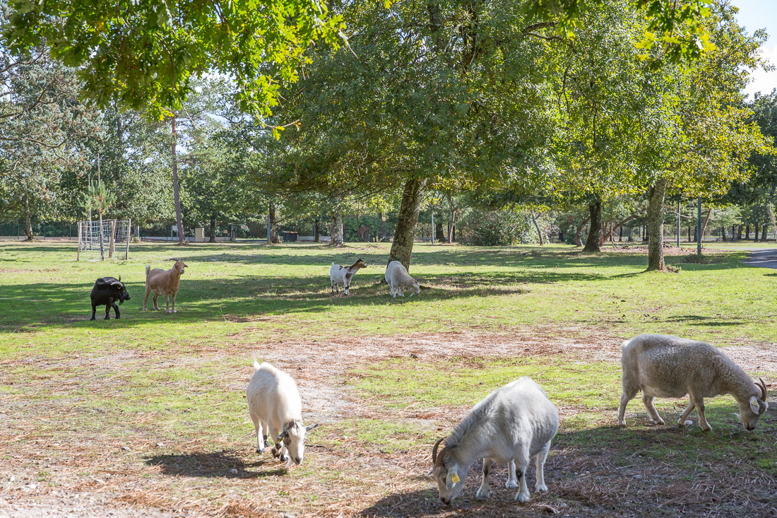 La ferme de découverte