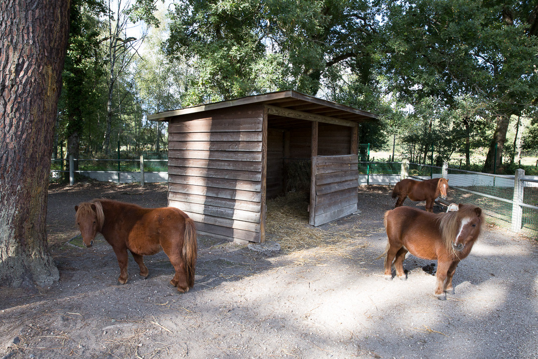 La ferme de découverte