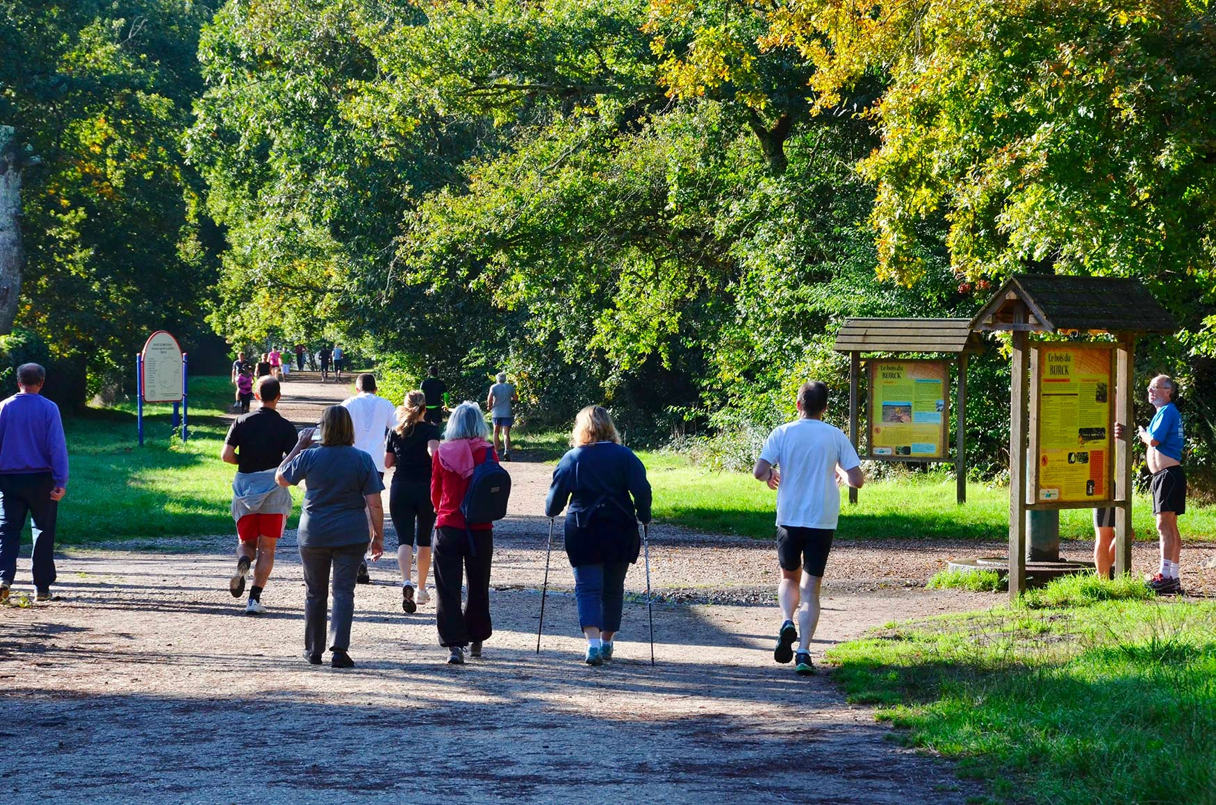 Bois du Burck à Mérignac