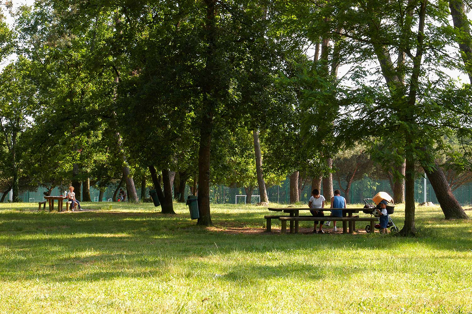 Bois du Burck à Mérignac