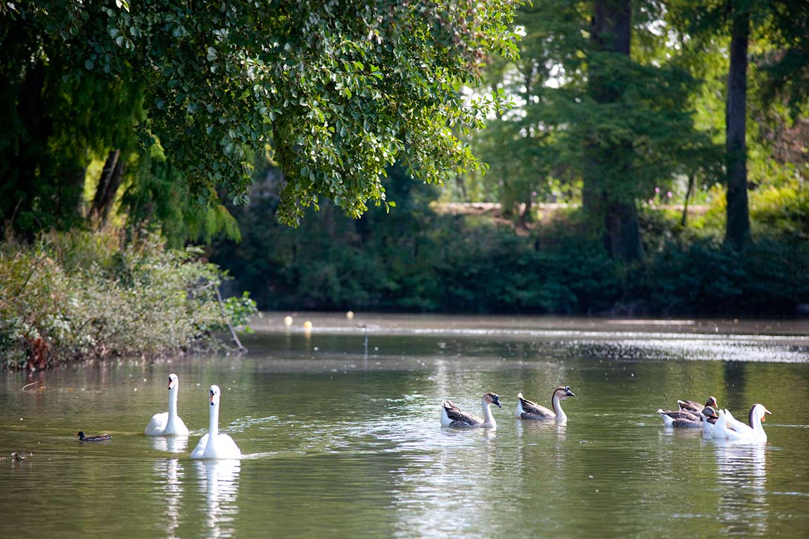 Parc de Bourran à Mérignac