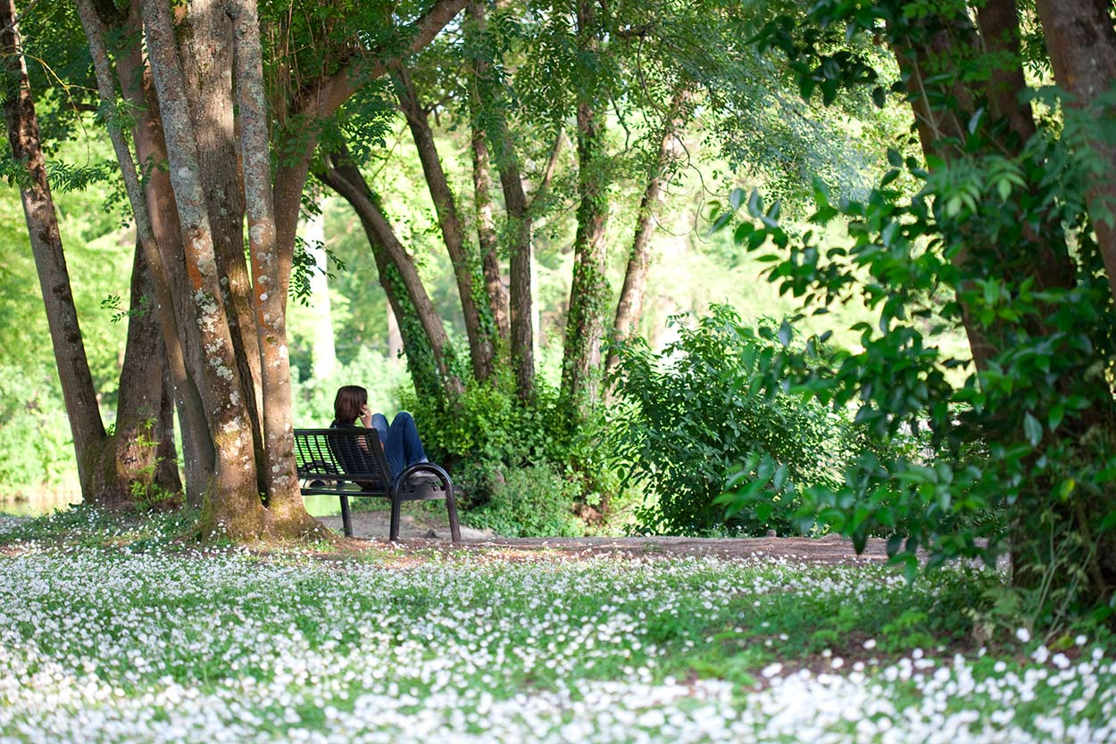 Parc de Bourran à Mérignac