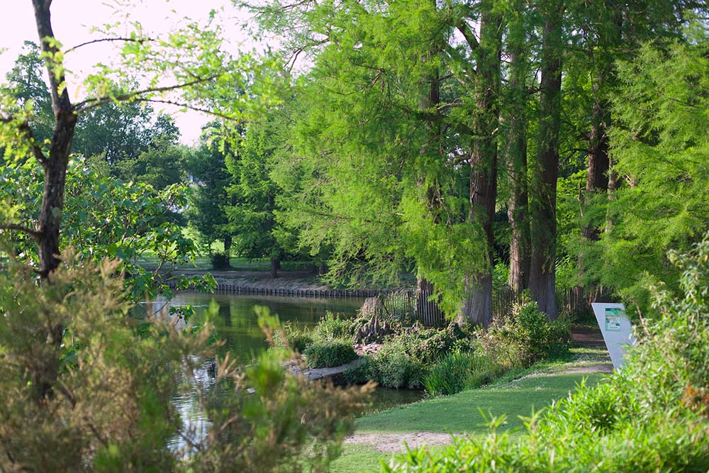 Parc de Bourran à Mérignac