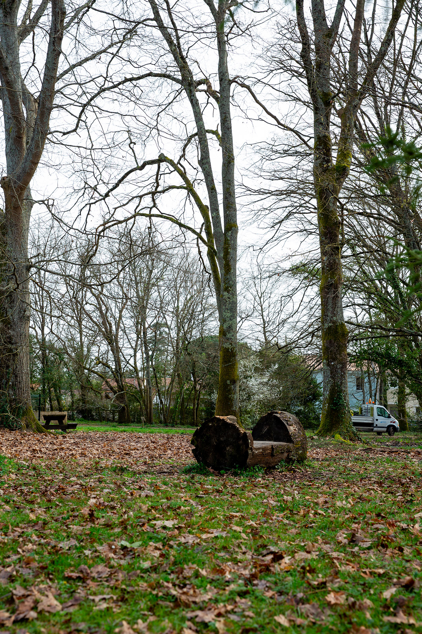 Parc de Tenet à Mérignac