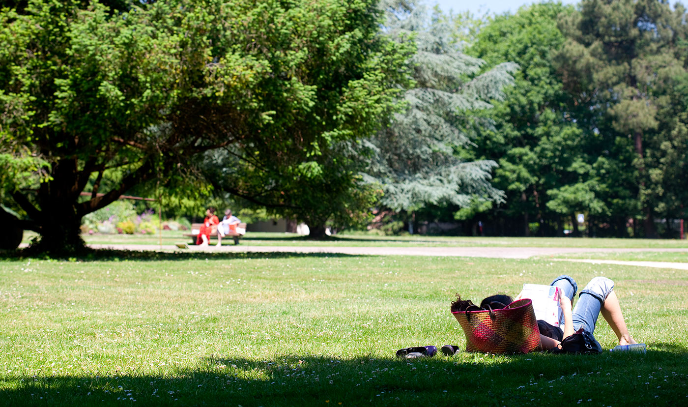 Le parc du Vivier