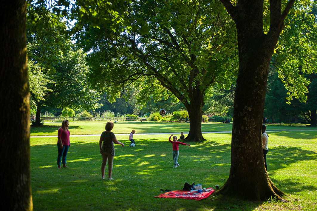 Le parc du Vivier