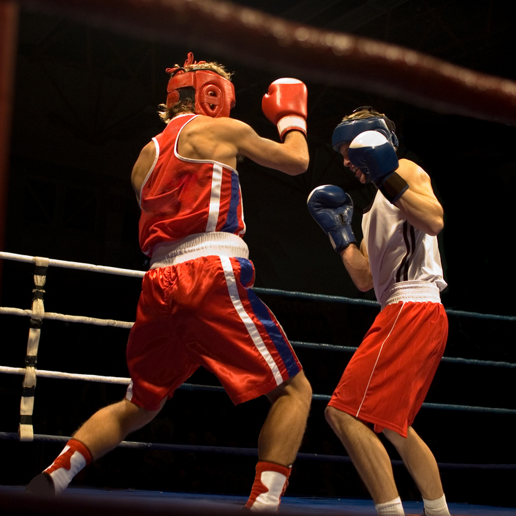 Gala de boxe anglaise (boxe  éducative, boxe amateur, boxe pro)