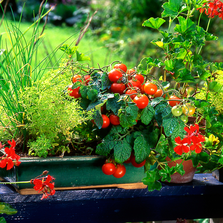 Des jardins en bas de l’appart ? 