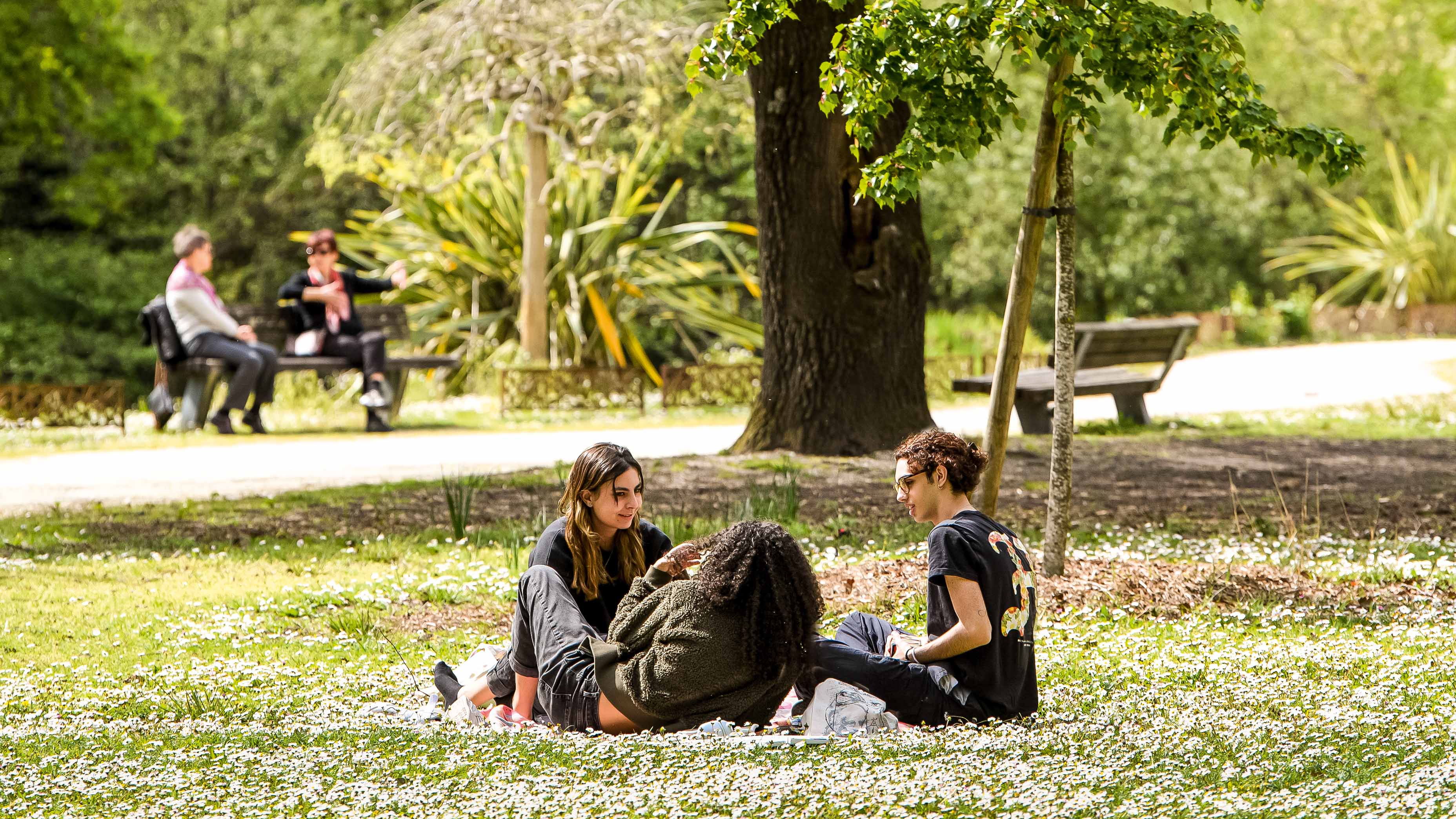 Le parc du Vivier