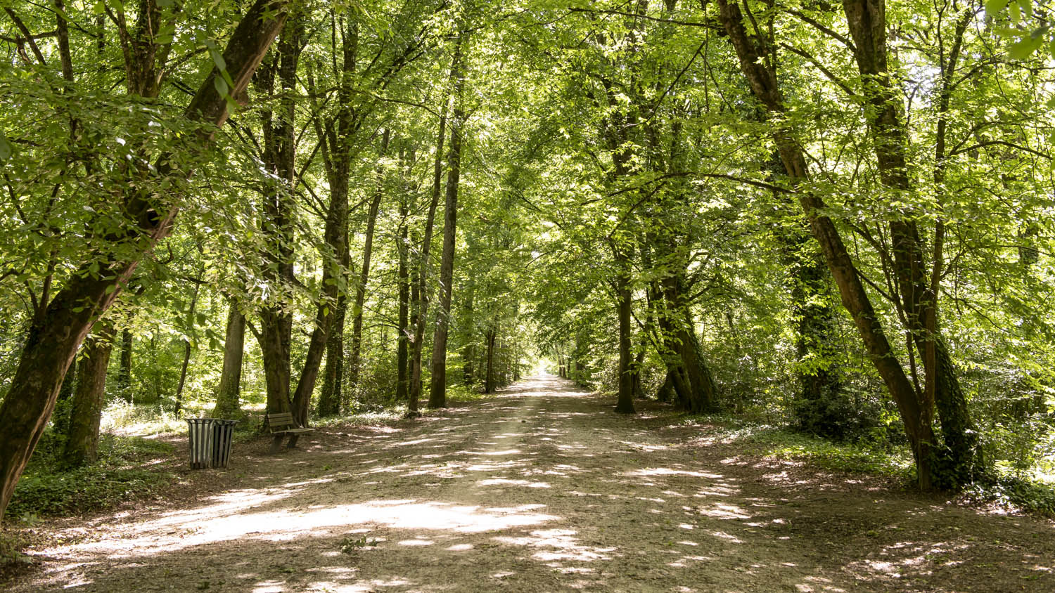 Le parc du Château 