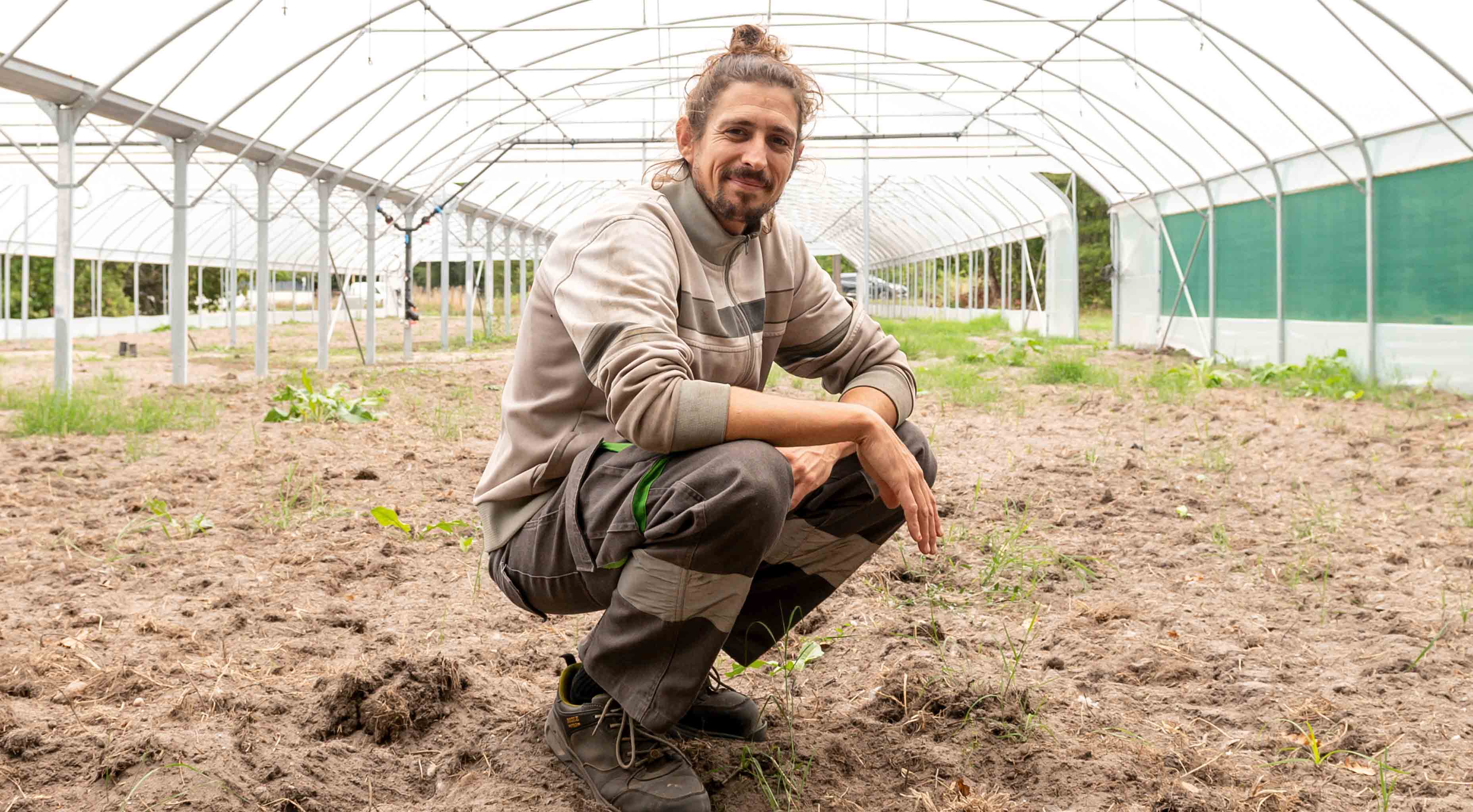 Agriculture urbaine : Mérignac côté champs