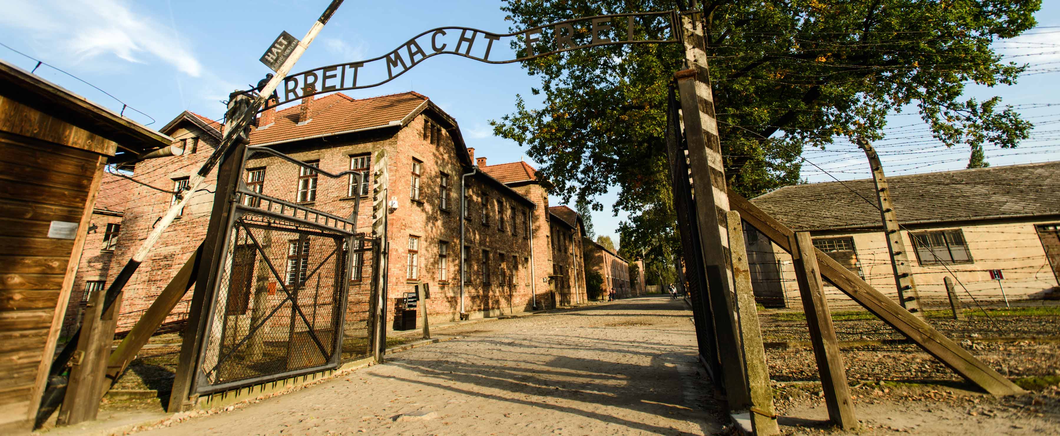 Conférence "Auschwitz, la véritable histoire"