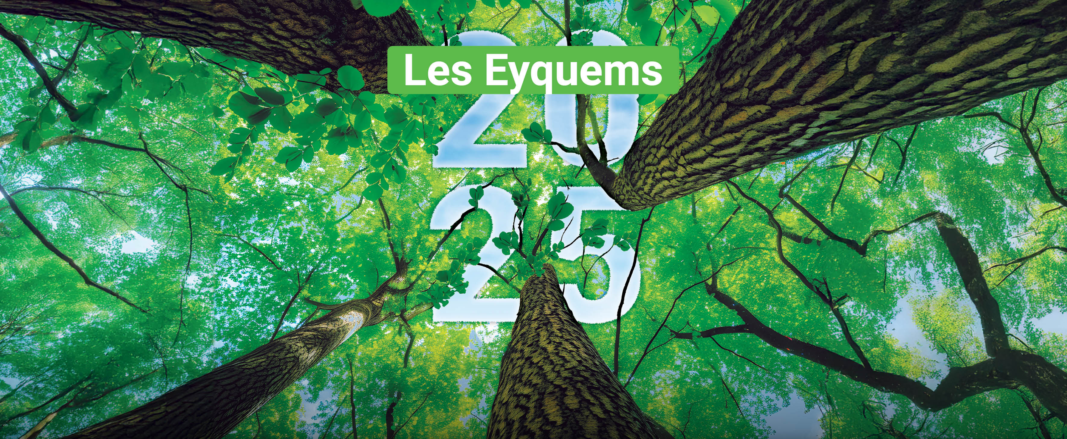 Les vœux aux habitants des Eyquems