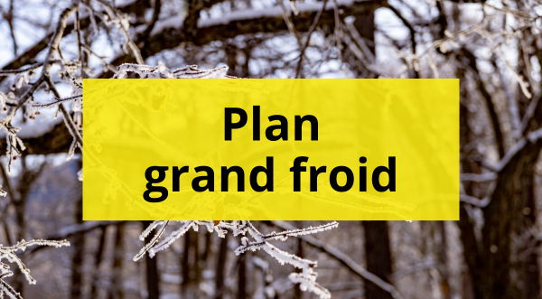 Plan grand froid