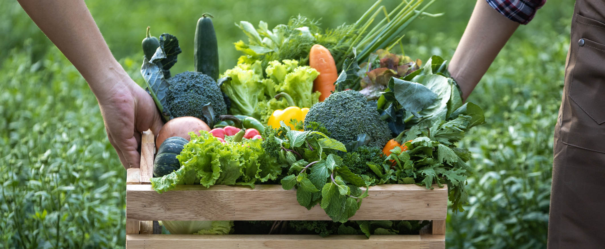 Ferme des chênes : lancement de la vente directe