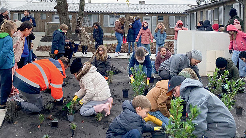 arbres en fête