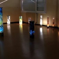 Exposition "Jeux de lumière"