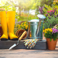 Rendez-vous des jardiniers : les semis