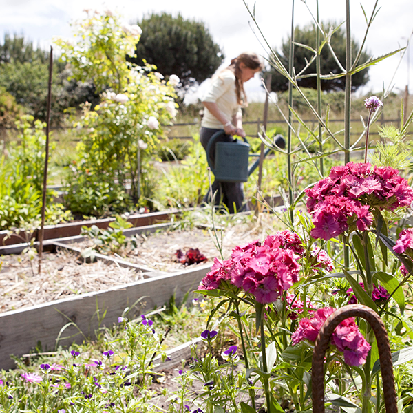 En septembre et octobre c'est la fête des jardins partagés