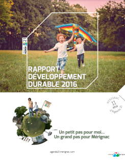 Rapport développement durable 2016