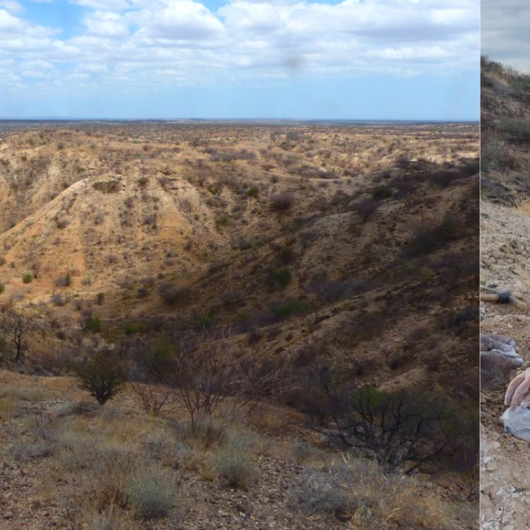 desert kenya